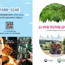 소나무유통
