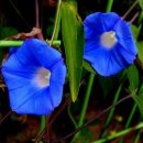 머믄자리 이미지