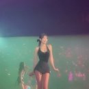 제니투어
