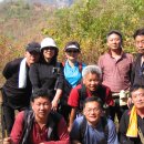 장미산주유소 이미지