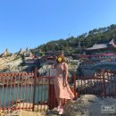 익산소라우편취급국 | [2박3일부산여행 2일차]관광부터 맛집까지 완벽했던 날 - 하운드호텔/용궁사/별침대/더베이101/바다산...