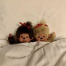 다올(14너8312) | 몬치 몬치 몬치치 ~