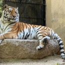 미호농장 이미지