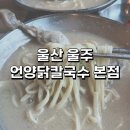 울산 읍성 맛집 언양닭칼국수 본점 내돈내산 후기