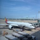 551 | 아시아나 이스탄불 출국 입국 기내식 등 후기 OZ551 OZ552