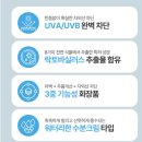 물들임 이미지