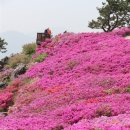 백양산 애진봉 이미지