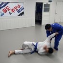 용인대안산유도체육관 - 안산시 상록구 본이로 46 | 용인대안산유도체육관