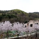 진중1리 이미지