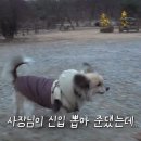 부장목장 이미지