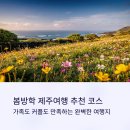 가족이 함께 떠나는 숲체험 & 놀이 - 봄꽃 숲 놀이터 | 봄방학 제주여행 추천 코스, 가족도 커플도 만족