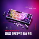 주식회사 노브로 이미지