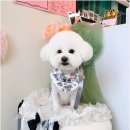 그루밍124