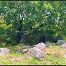 유포석보 이미지