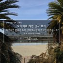 백사장해변 | 오다이바 해변 답사 후기_이국적인 분위기 도시 안에 백사장이 있다면 믿겠습니까?