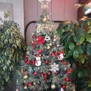 세인트존스 동물병원 이미지