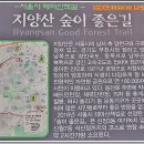 경인근교 (구로*양천*부천주변) 테마산책길 번개나들이(1)... (8/10, 온수역~작동터널~국기봉~능고개~지양산~고강선사유적지~춘의산*도당근린공원~춘의역)... 이미지