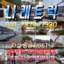 큰손참전복 이미지