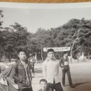경백 이미지