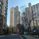 경기도 수원시 영통구 영통로 이미지