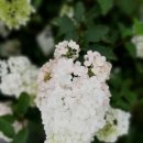 서해주방산업 이미지