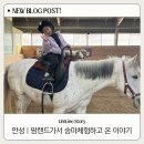 광우농장 | 안성 아이랑 | 안성팜랜드 승마체험하고 온 이야기