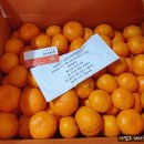 근자농장 이미지