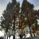 새터근린공원 이미지