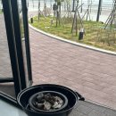 마시안스테이 이미지