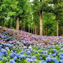 성림스테이 이미지