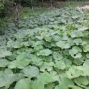 산들꽃펜션 이미지