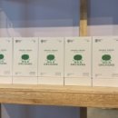 제주 와일드 이미지