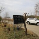 당나루물꽃승마마을영농조합법인 이미지