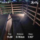 인흥리 | 블챌 일상 경산삼성현공원 대구 라이온즈파크몰 러닝일기