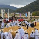 황금물결 이미지