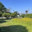 동산이발 - 중구 청구로1길 62 | 동산이발