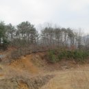 하천리-3 이미지