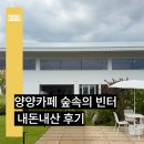 숲속의 정원 | 양양카페 숲속의 빈터, 정원뷰와 베이커리 맛집 내돈내산 후기