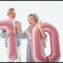더메인스튜디오 이미지