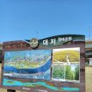 강서 낙동강30리 벚꽃축제(2025년) 네이버블로그
