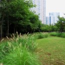 미사누리1호공원 이미지