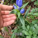 24.10.24.(목)지리산 야생화 이미지