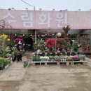 수림화원꽃 이미지