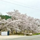 포키즈풀빌라A 이미지
