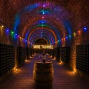 영동군청 | 🍇 오늘은 영동으로 떠나볼까요