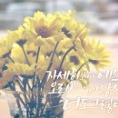 자세히 보아야 예쁘다 이미지