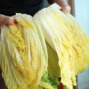 학동농장 이미지