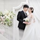 데이위드유