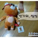 씽씽베어 후기, 씽씽체험단 전속블로거 되었어요^^, 체험단, 블로그체험단