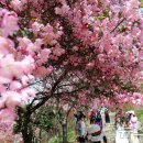 완산공원(아래) 이미지